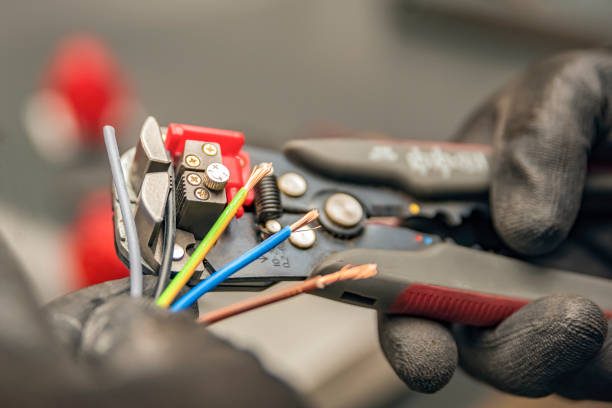 Best Electric Panel Repair  in Winter Haven, FL